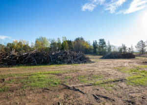 Land Clearing